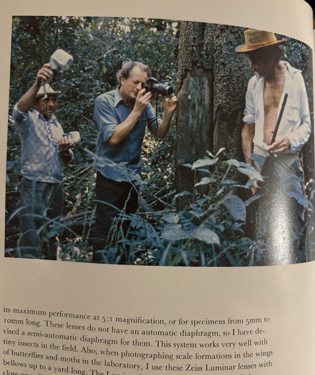 Butterflies - Photographs by Kjell B. Sandved - 1978