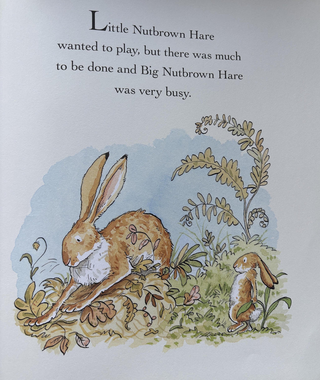 Will You Be My Friend? by Sam McBratney  **  First US Edition  **