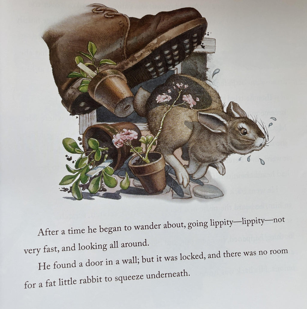 The Classic Tale of Peter Rabbit by Beatrix Potter  **  First Edition  **
