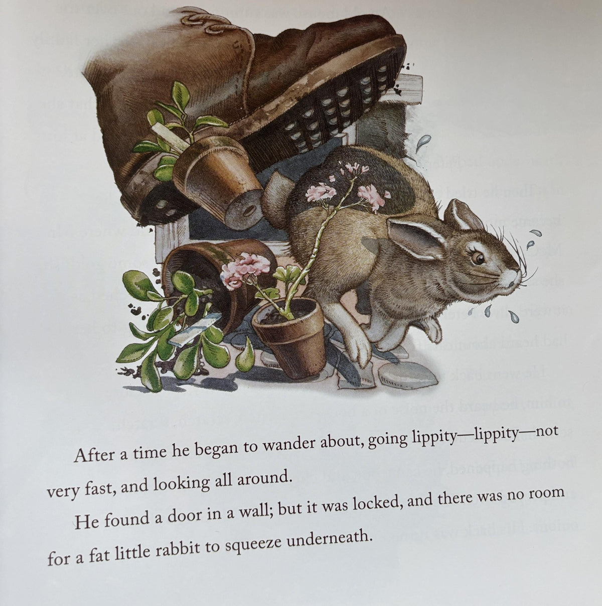 The Classic Tale of Peter Rabbit by Beatrix Potter  **  First Edition  **