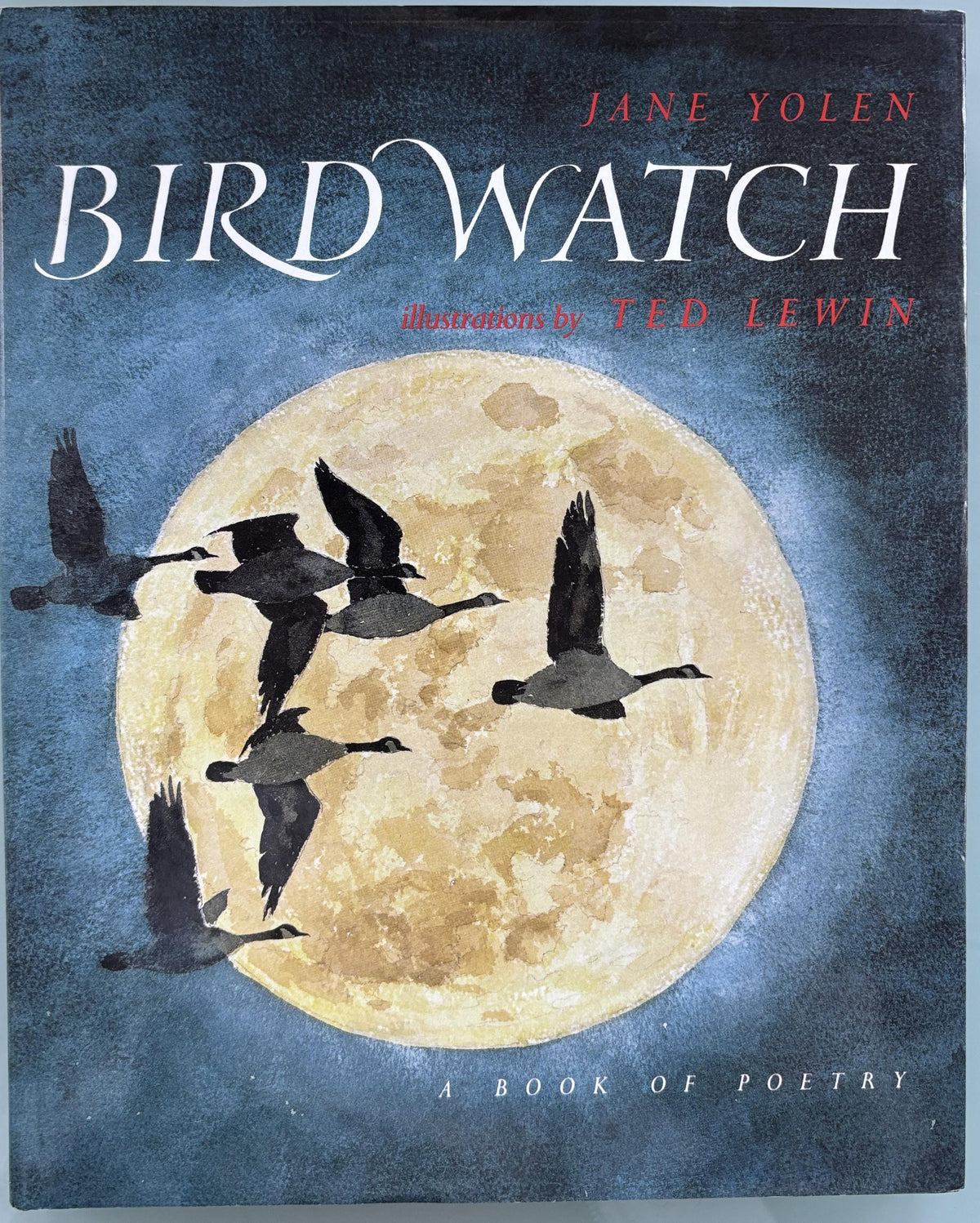 Bird Watch (A Book of Poetry) by Jane Yelon 1990