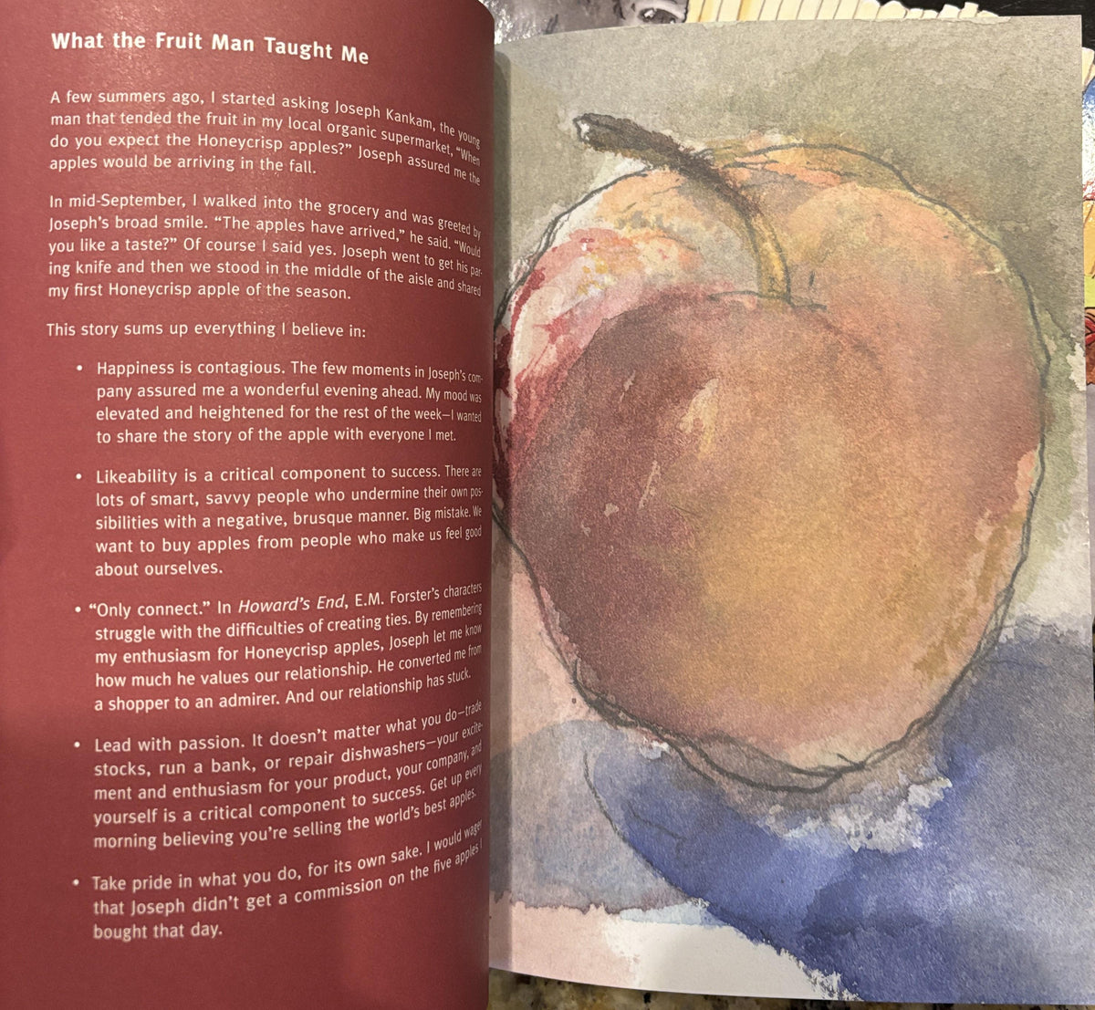 The Essentials of Softcover Book – Signed by Ellen Lubin-Sherman, Watercolor Illustrations