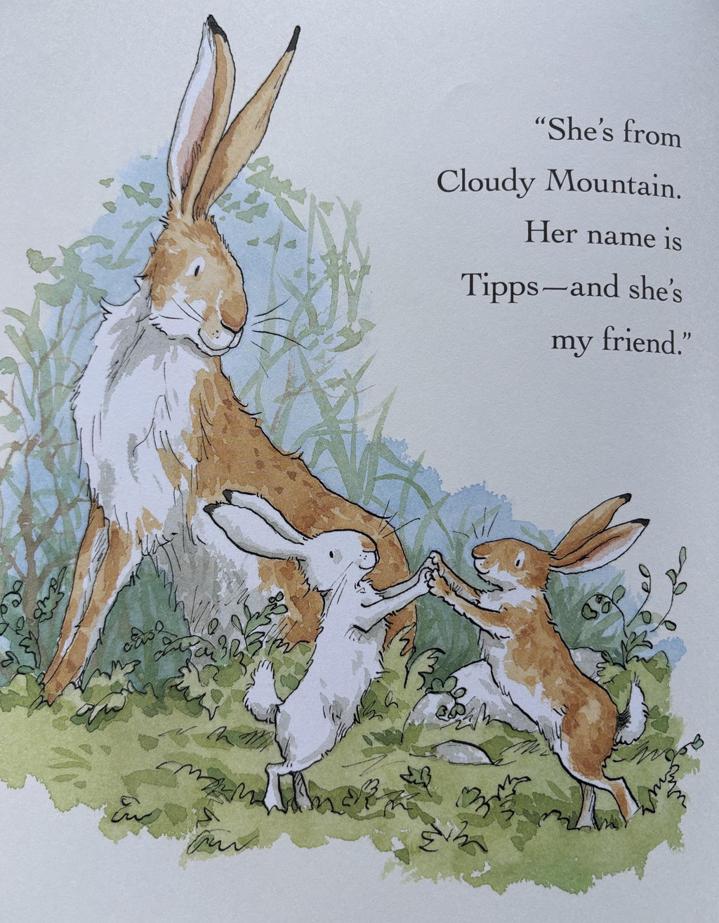 Will You Be My Friend? by Sam McBratney  **  First US Edition  **