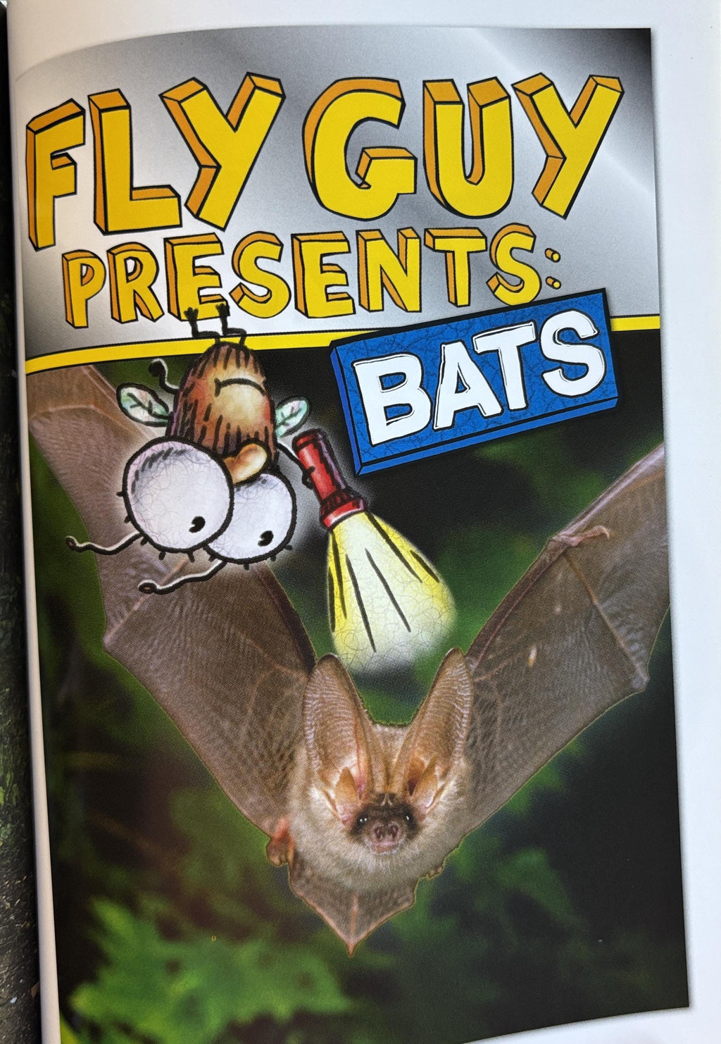 Fly Guy Presents - Scary Creatures - 5 Bookzzz in 1