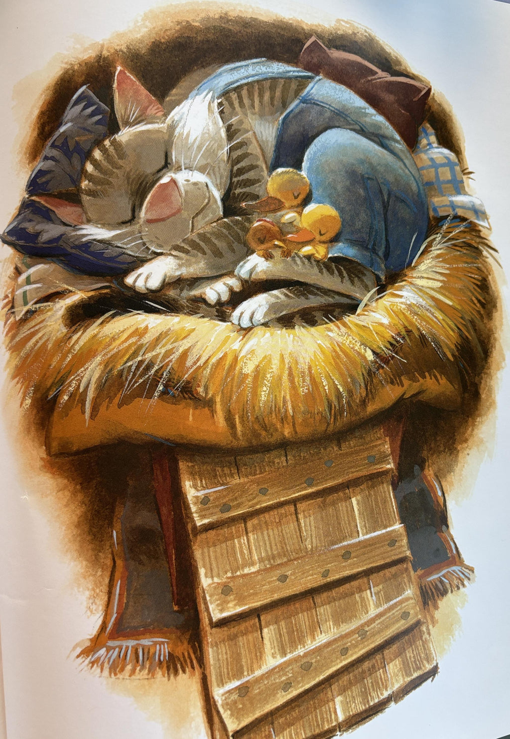 The Nest by Catherine Friend, 1st Ed HB Book