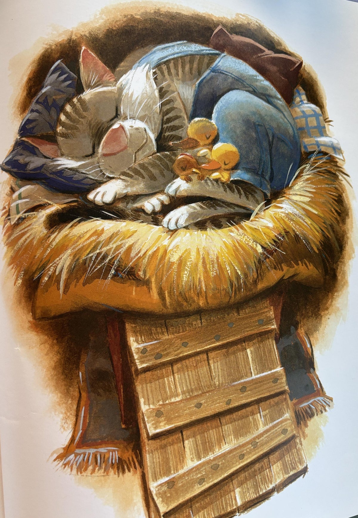 The Nest by Catherine Friend, 1st Ed HB Book