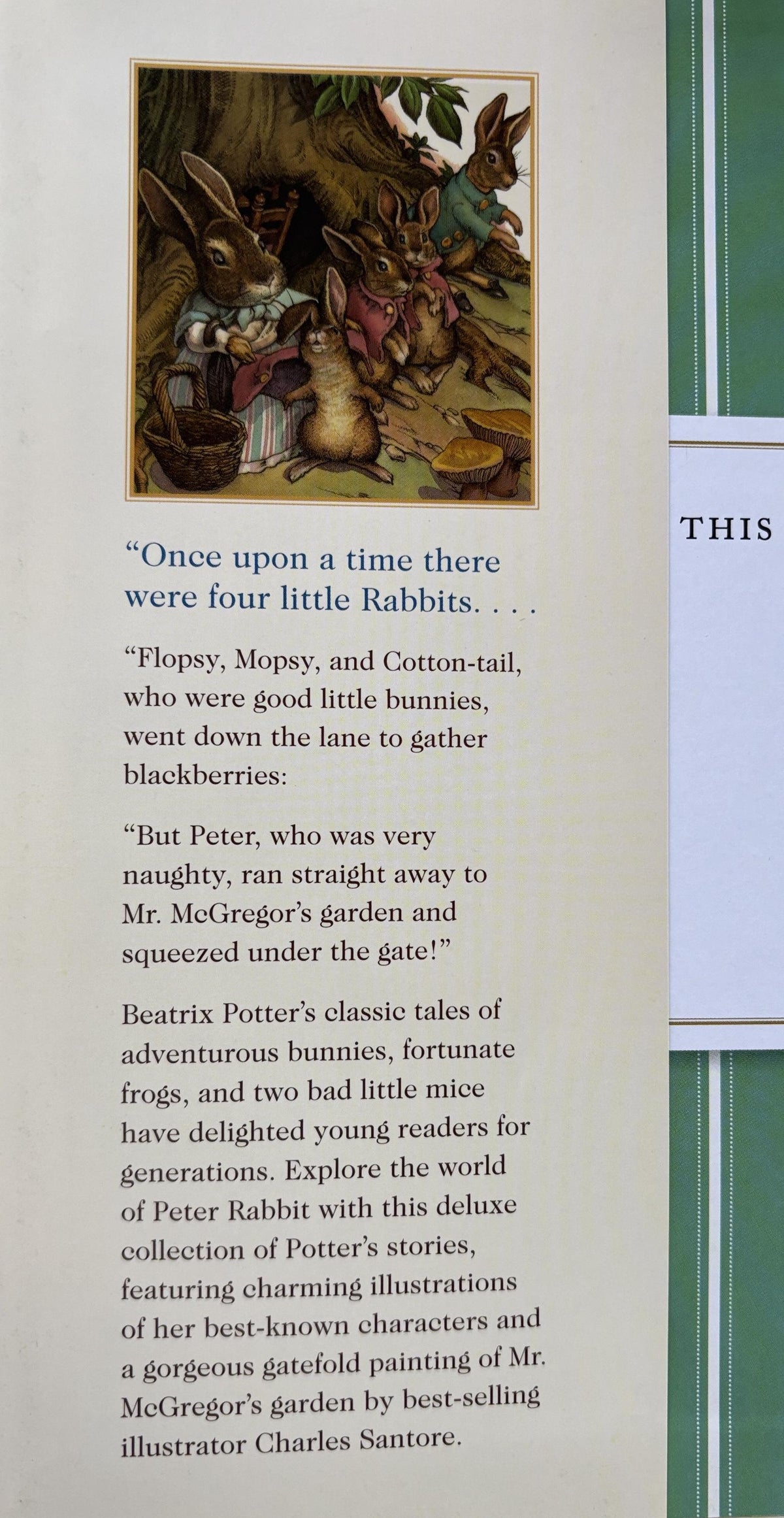 The Classic Tale of Peter Rabbit by Beatrix Potter  **  First Edition  **