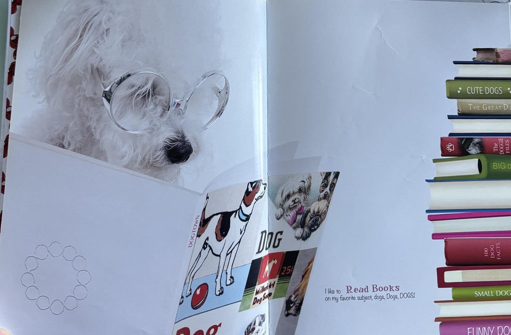 Oliver the Schnoodle  **  First Hardcover Edition  **