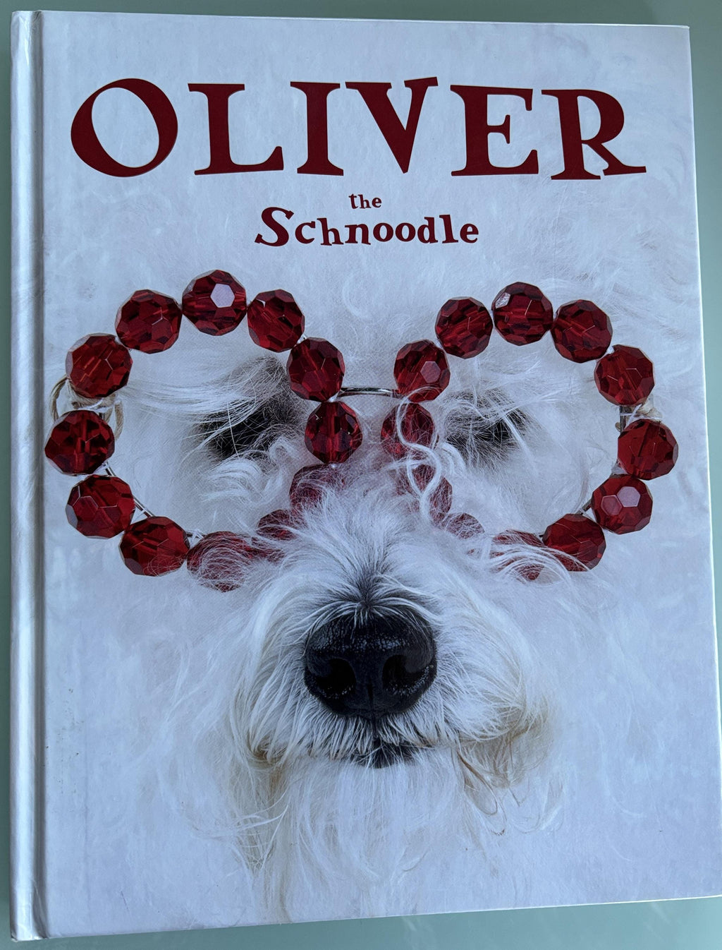 Oliver the Schnoodle  **  First Hardcover Edition  **