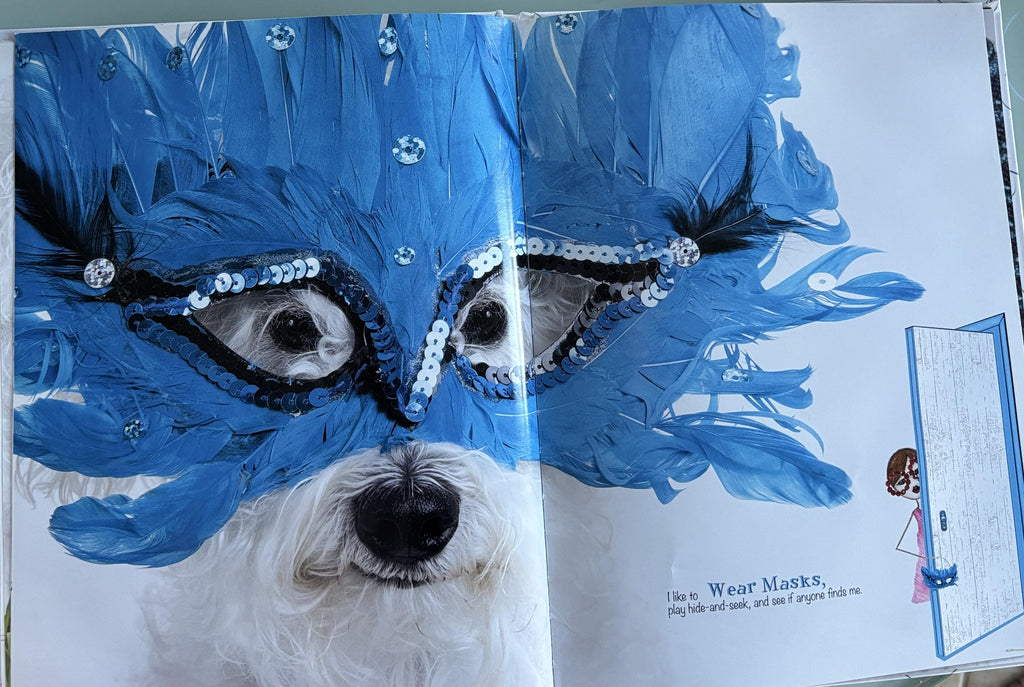 Oliver the Schnoodle  **  First Hardcover Edition  **