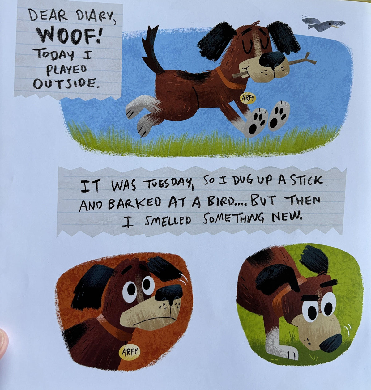I Found a Kitty by Troy Cummings   **  First Edition **