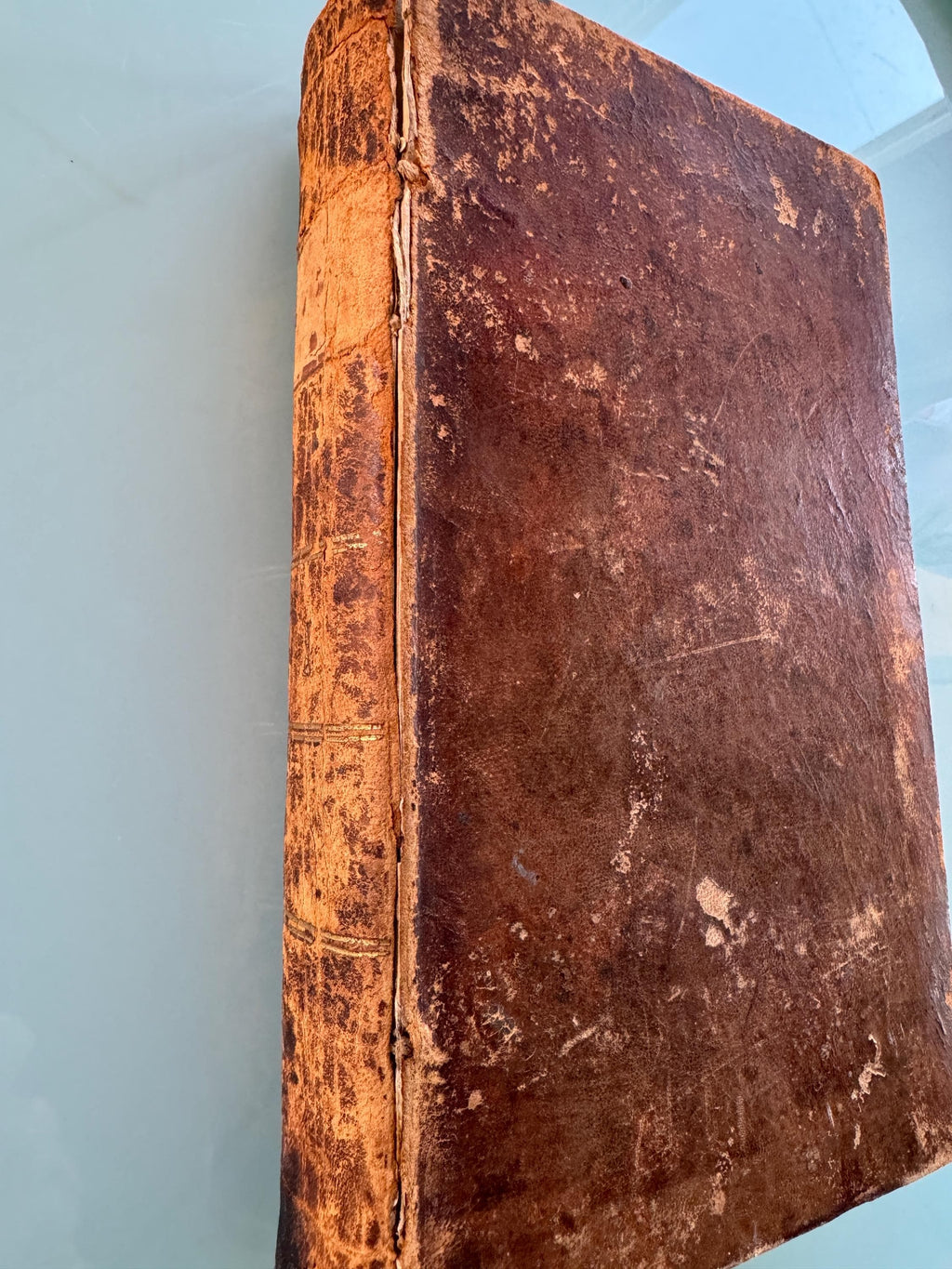 SWEDISH BIBLE c1881  Embossed Leather Bound  Book Fragile