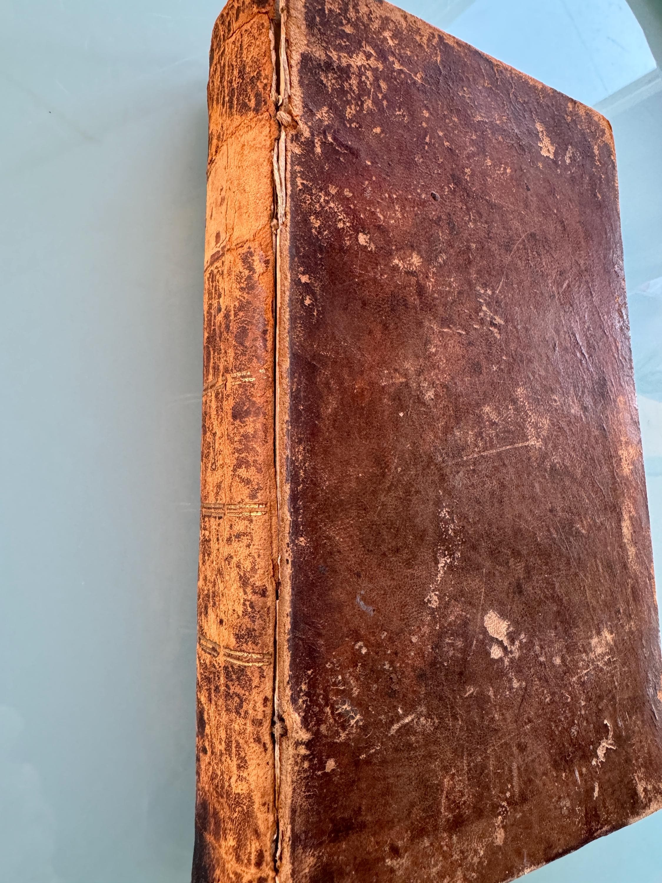 SWEDISH BIBLE c1881  Embossed Leather Bound  Book Fragile