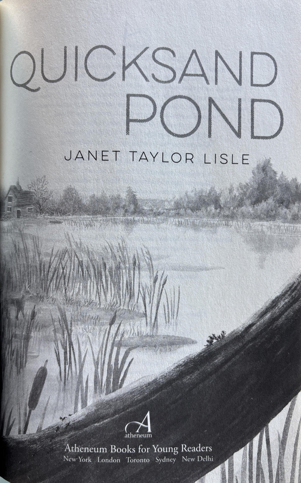 Quicksand Pond by Janet Taylor Leslie