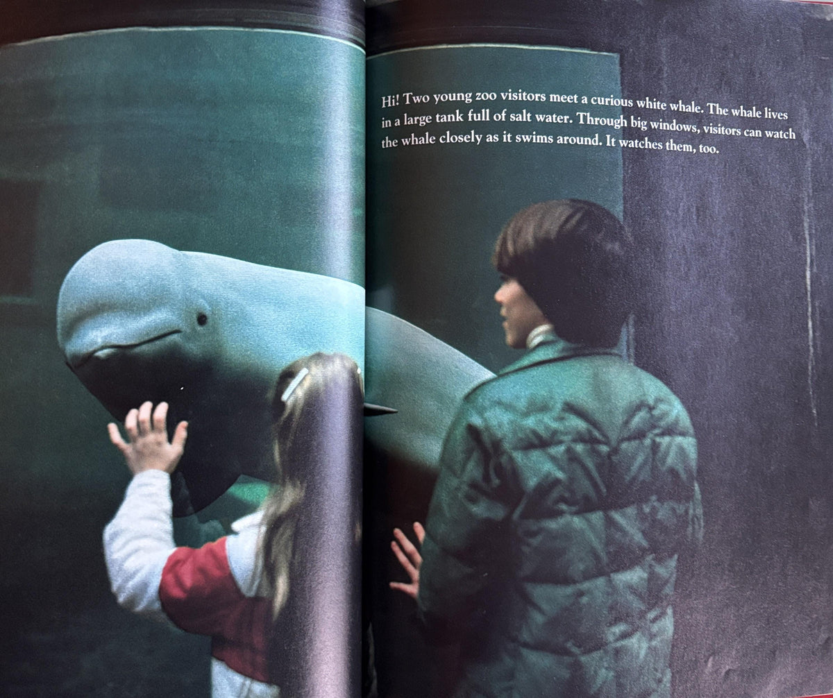 What Happens at the Zoo