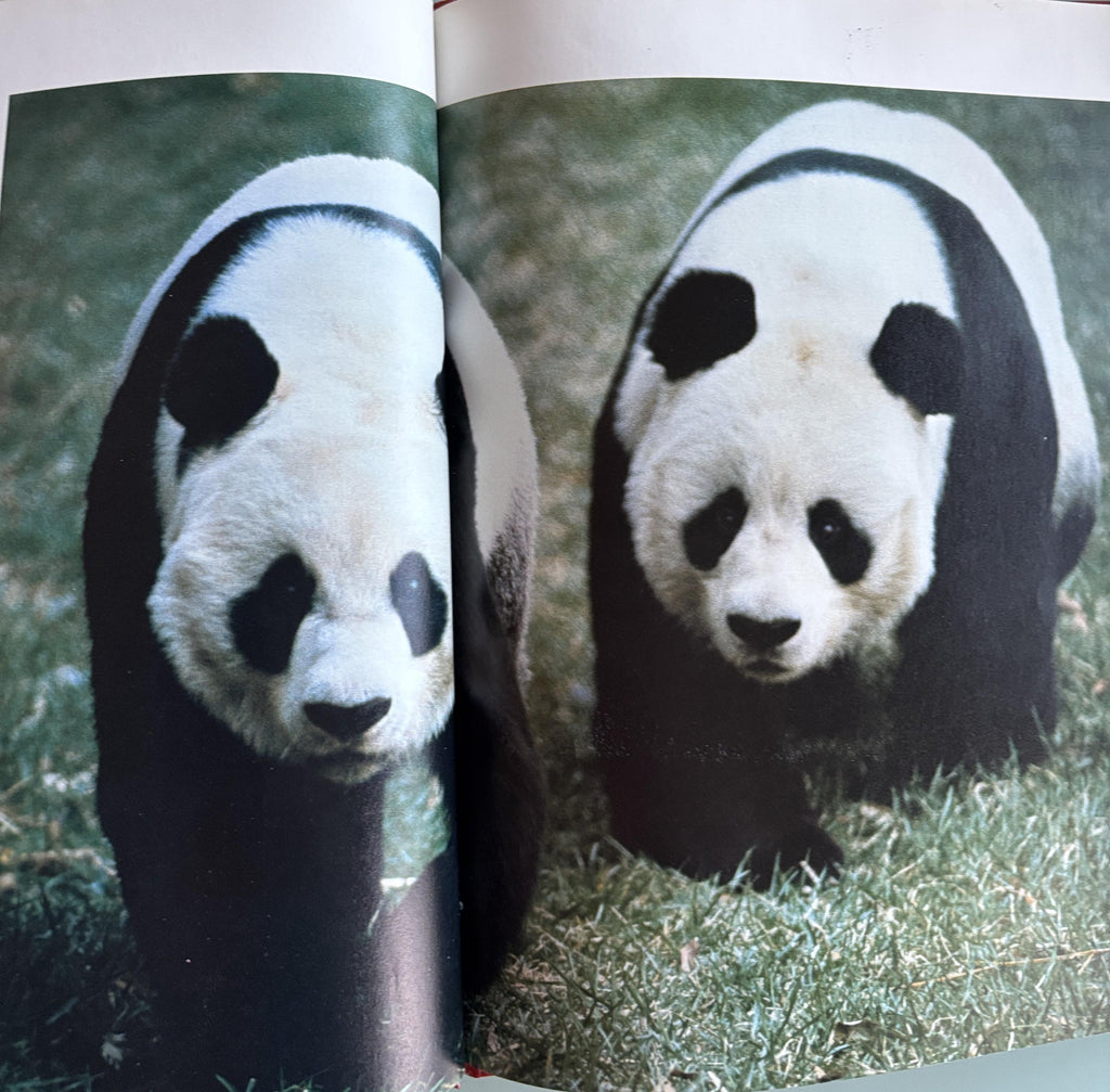 What Happens at the Zoo