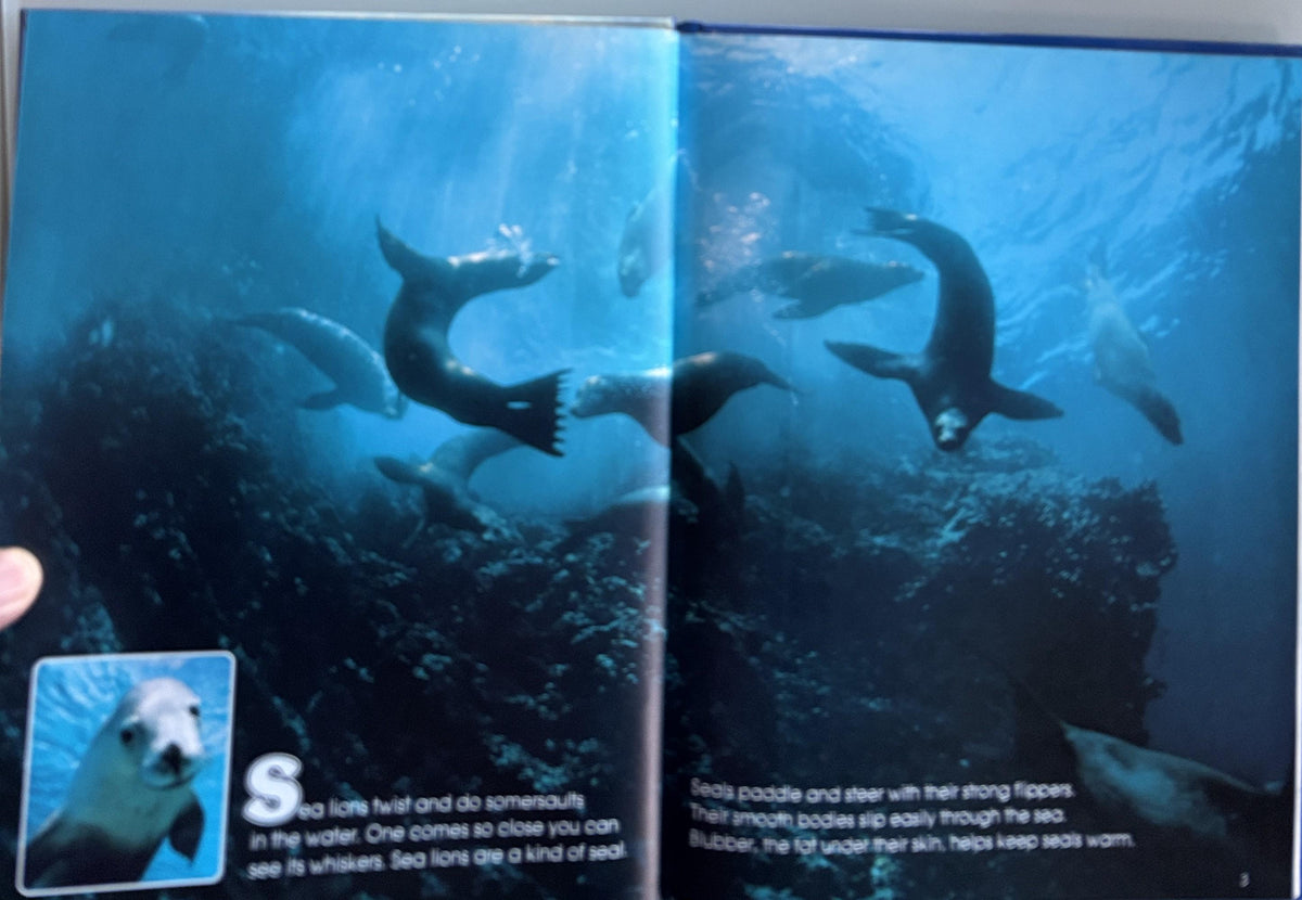Seals and Whales Hardcover Book - National Geographic, 1984