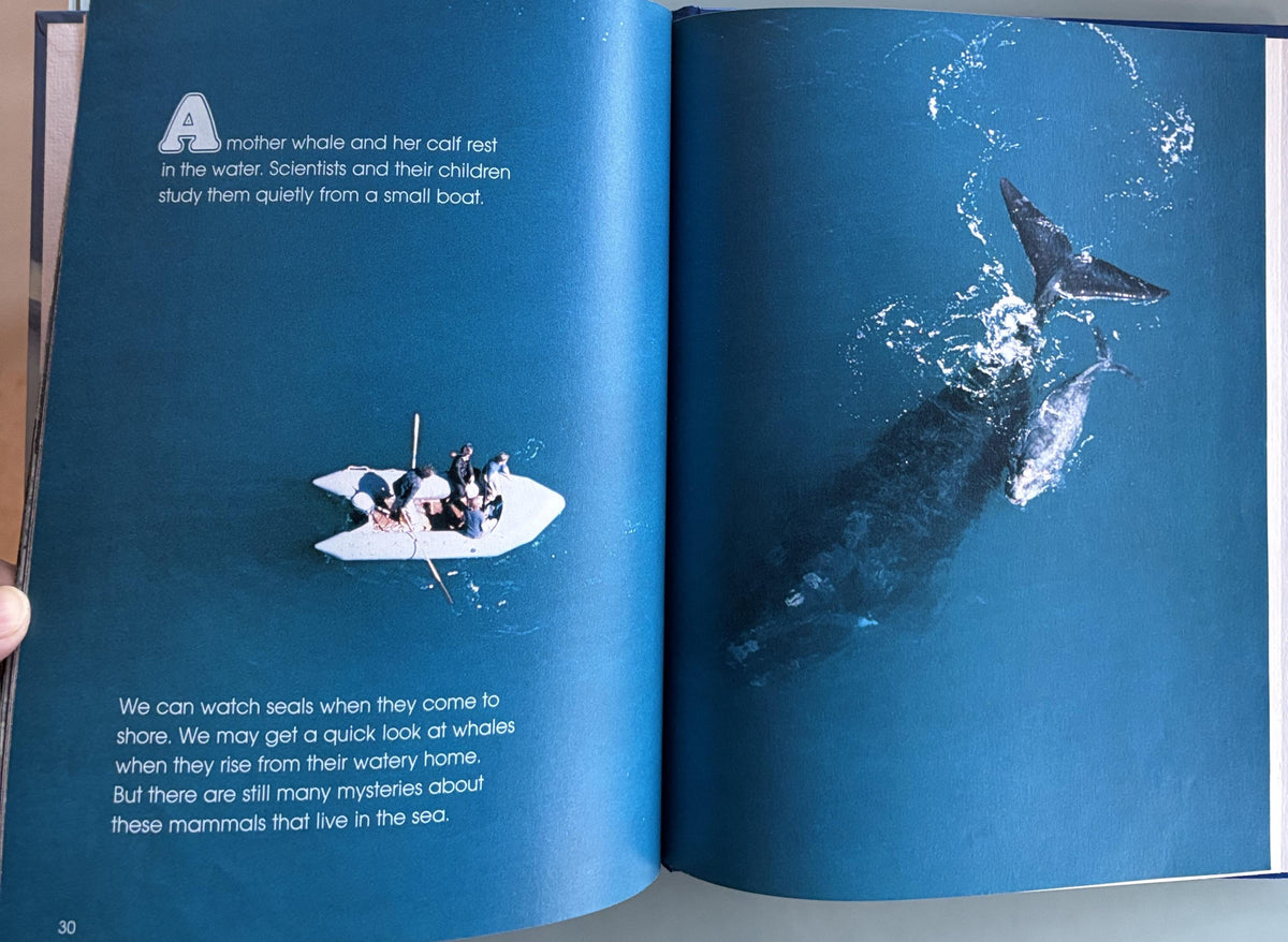 Seals and Whales Hardcover Book - National Geographic, 1984