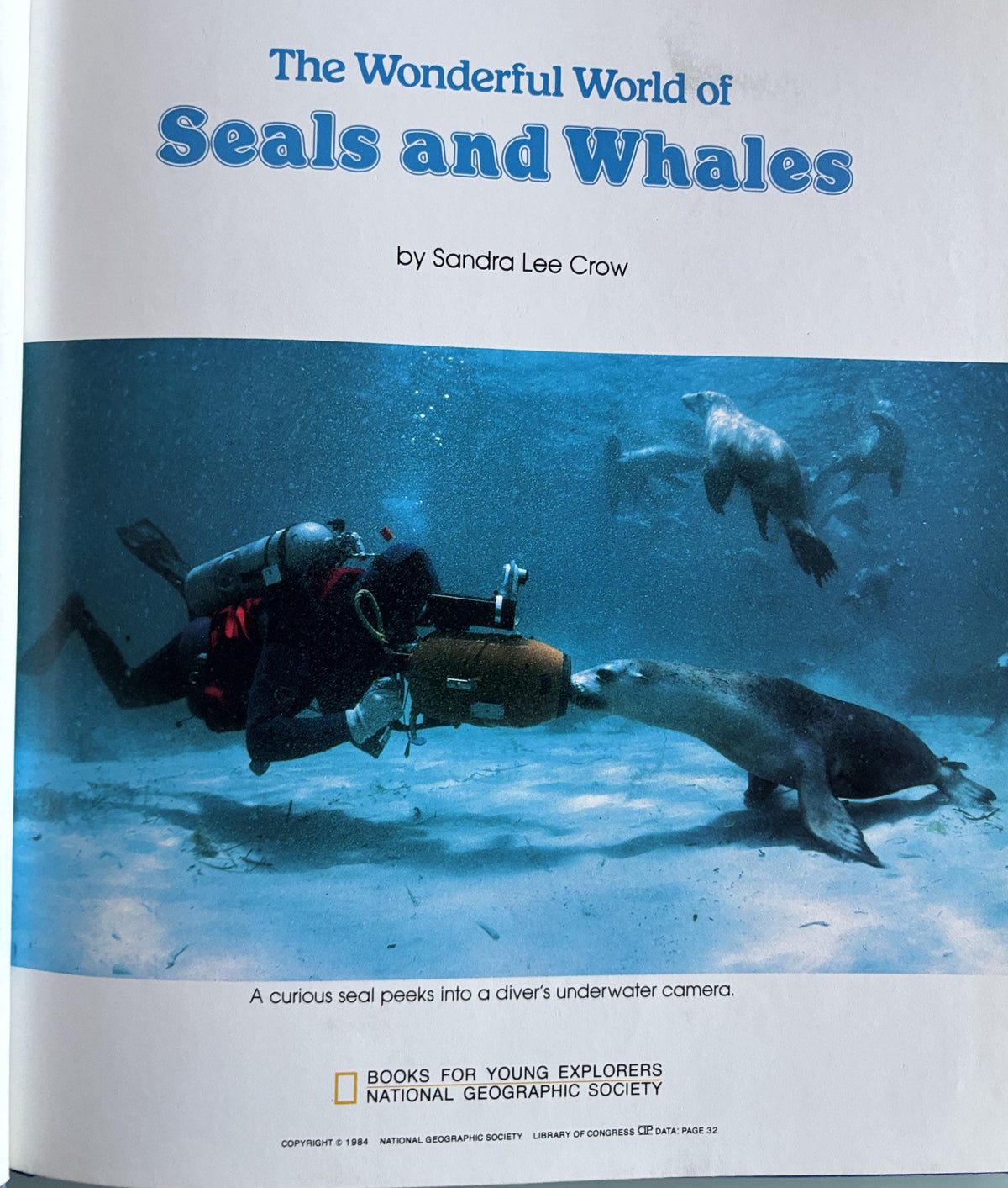 Seals and Whales Hardcover Book - National Geographic, 1984