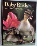 Baby Birds and How They Grow - National Geographic Society  1984