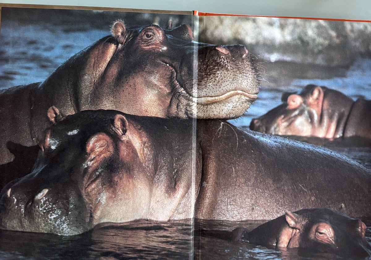 Ways Animals Sleep - National Geographic Society Books for Young Explorers Hand picked