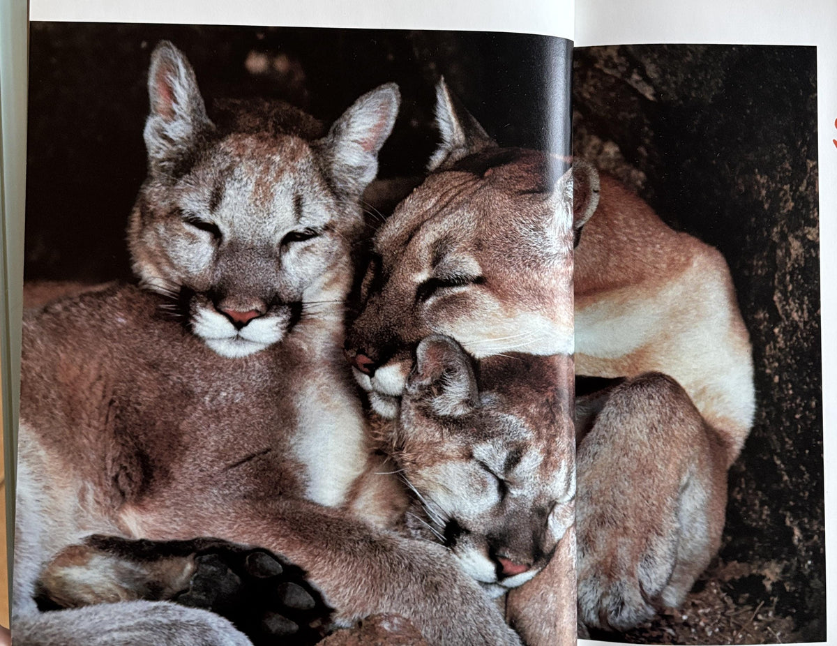 Ways Animals Sleep - National Geographic Society Books for Young Explorers Hand picked