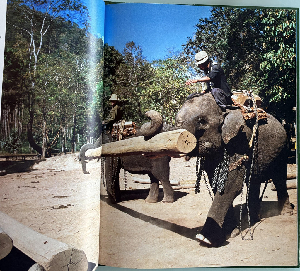 Animals Helping People - National Geographic Society Books for Young Exploers  1984