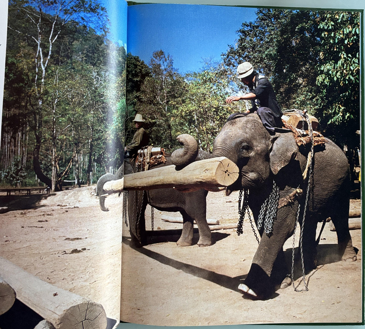 Animals Helping People - National Geographic Society Books for Young Exploers  1984
