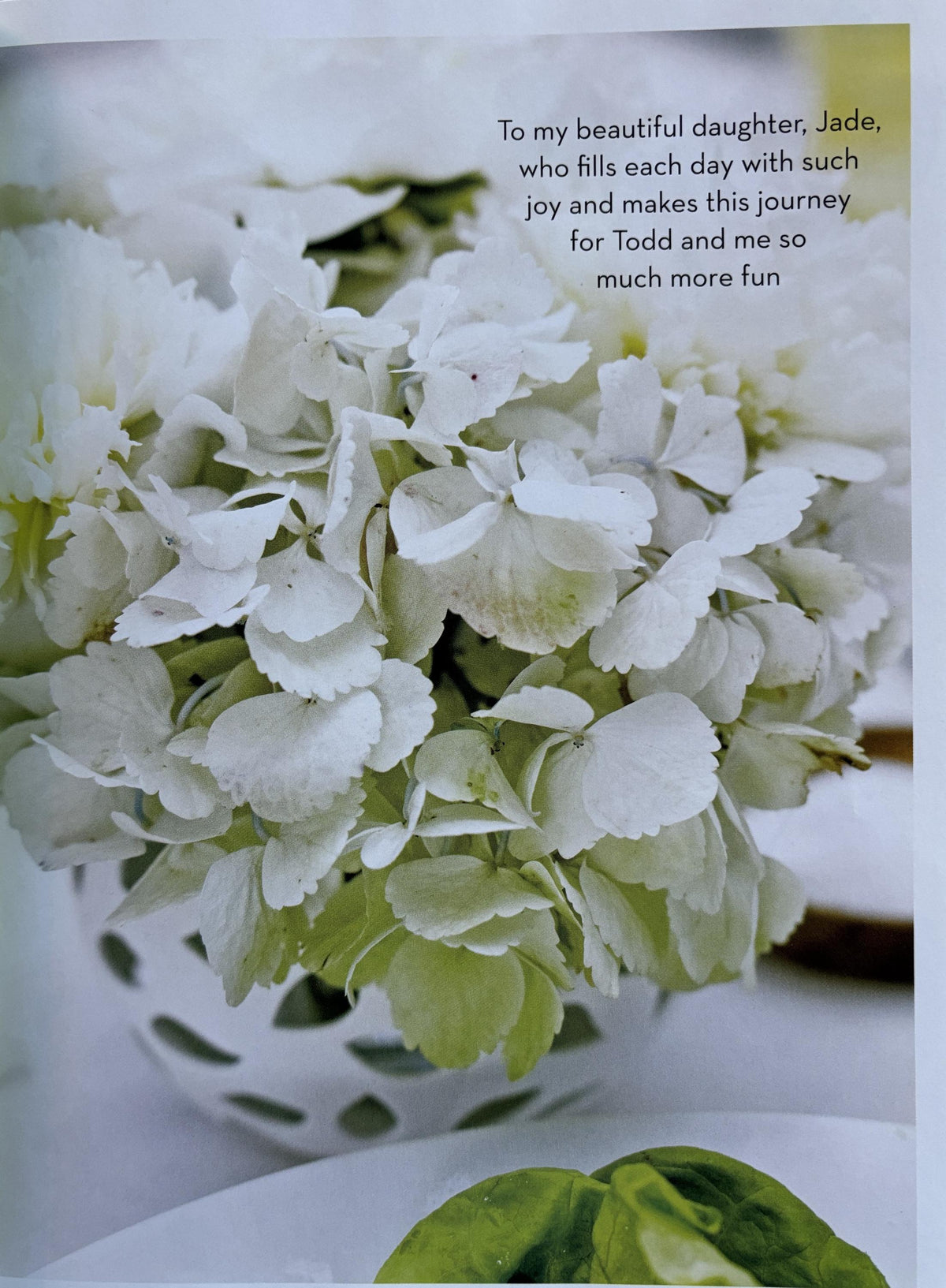 Giada at Home - Family Recipes from Italy and California:  Giada De Laurentiis  **  First Edition  **