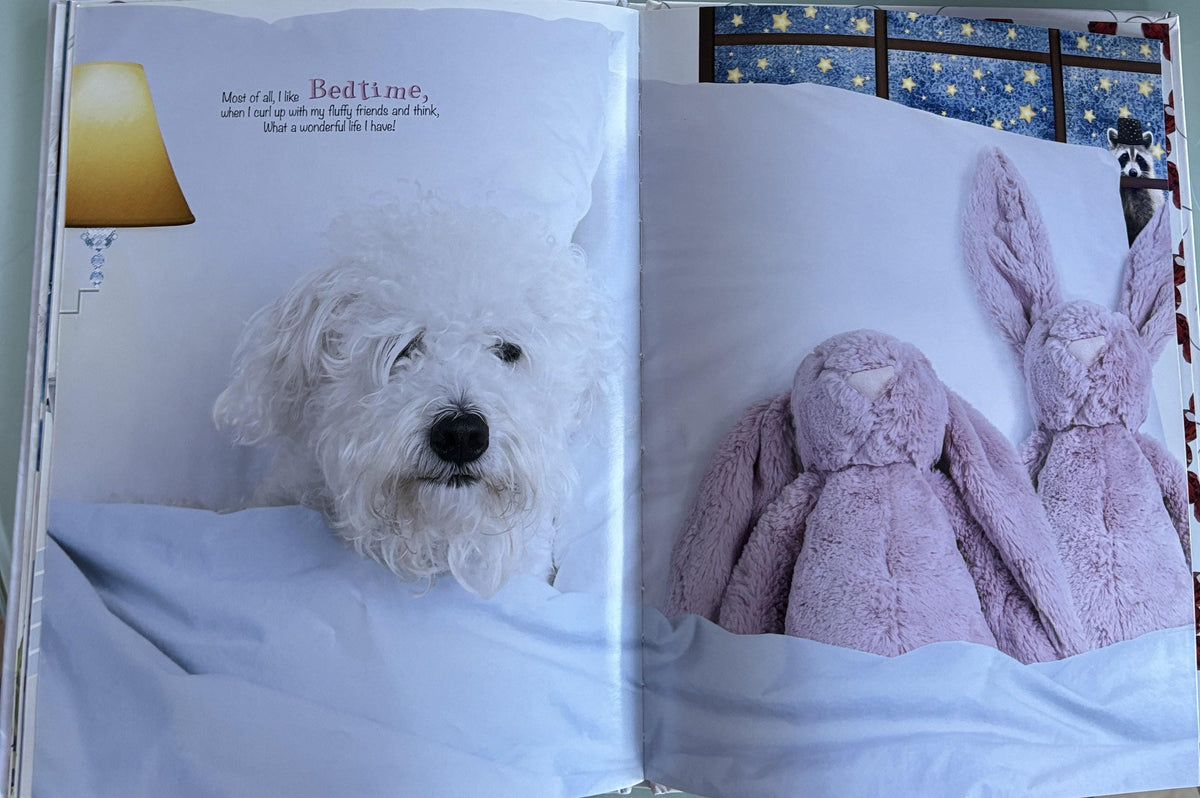 Oliver the Schnoodle  **  First Hardcover Edition  **