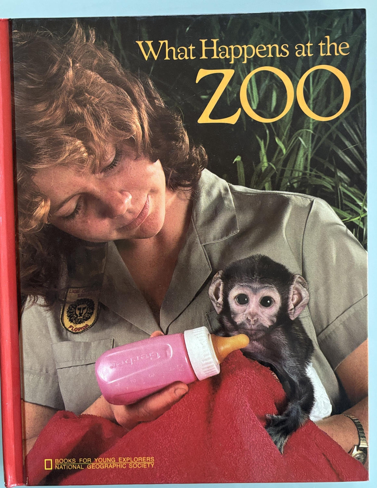 What Happens at the Zoo