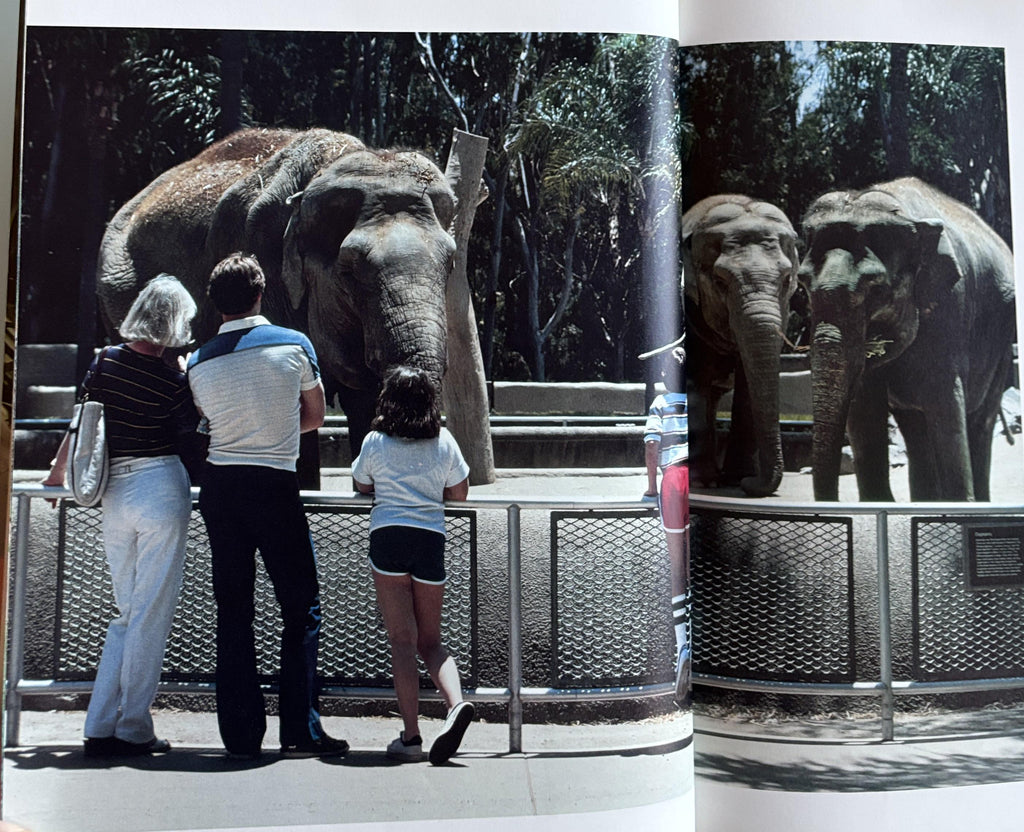 What Happens at the Zoo