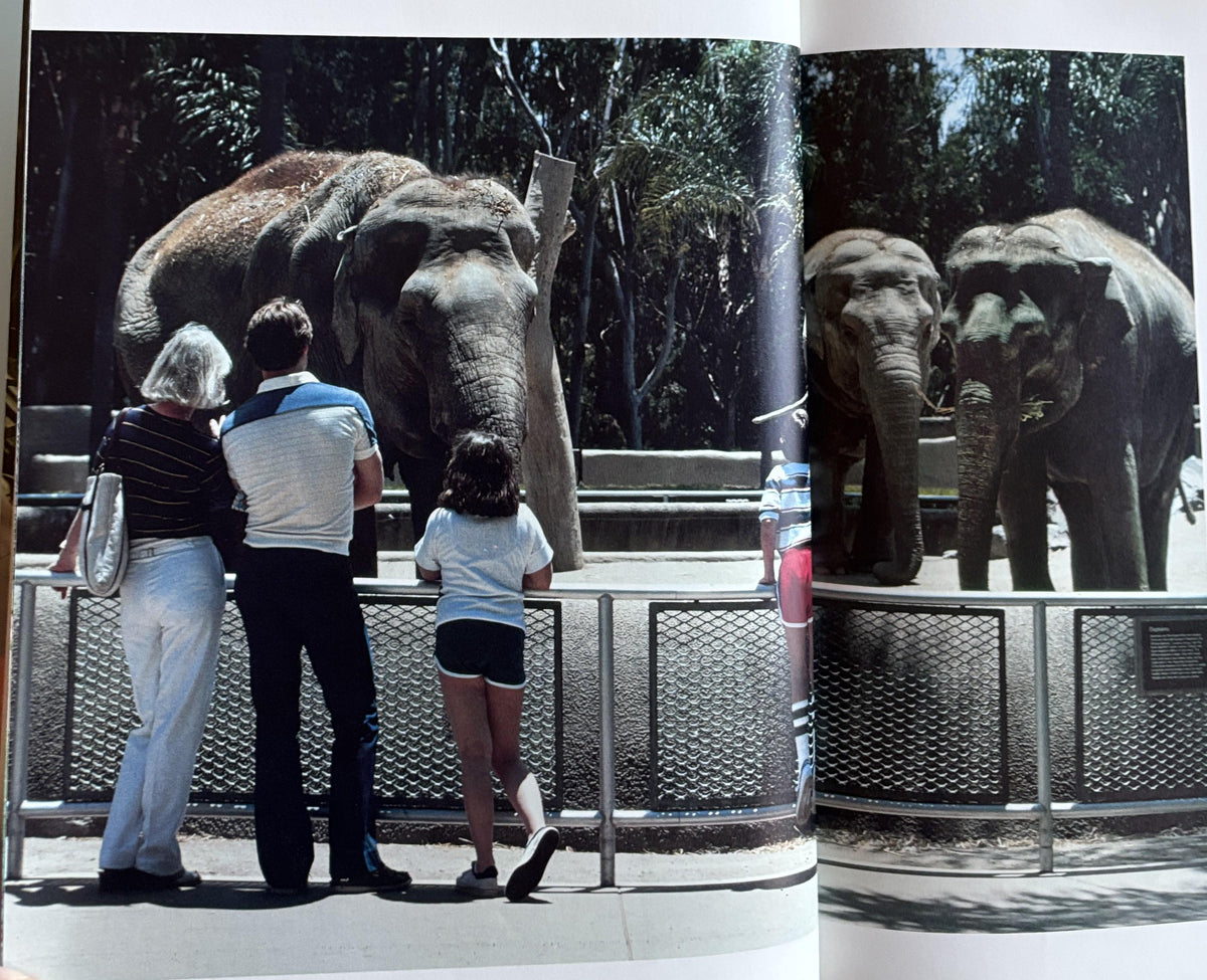 What Happens at the Zoo