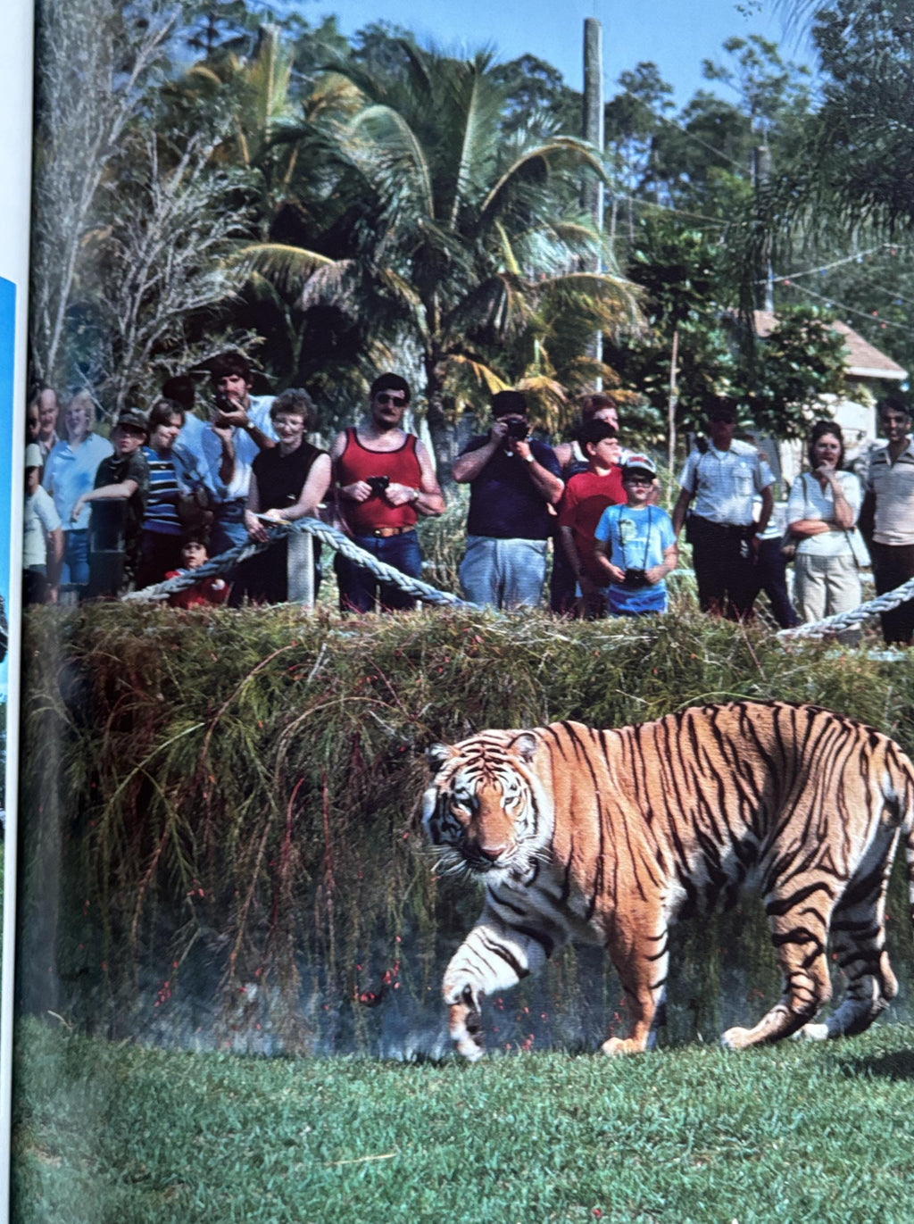 What Happens at the Zoo