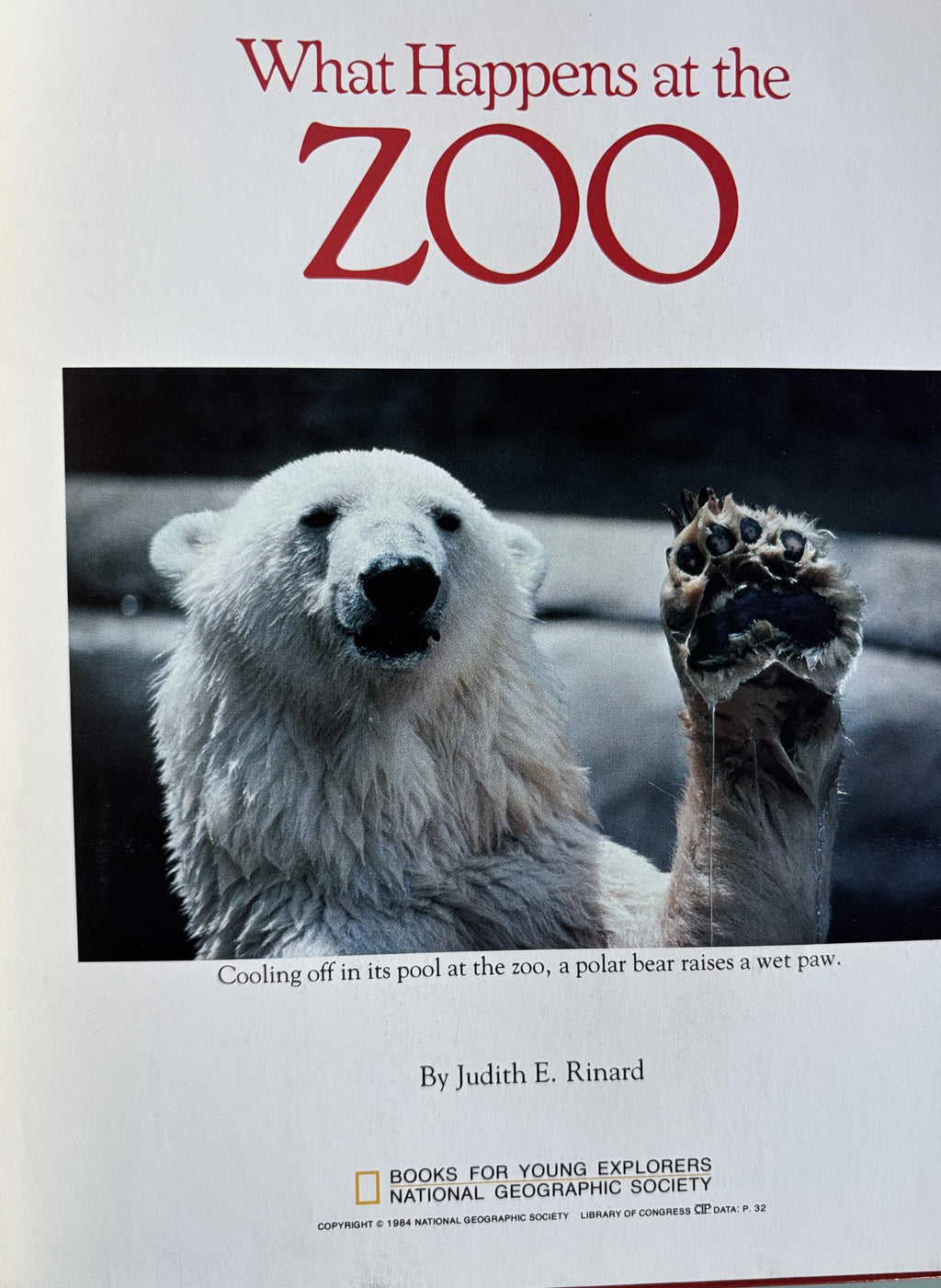 What Happens at the Zoo