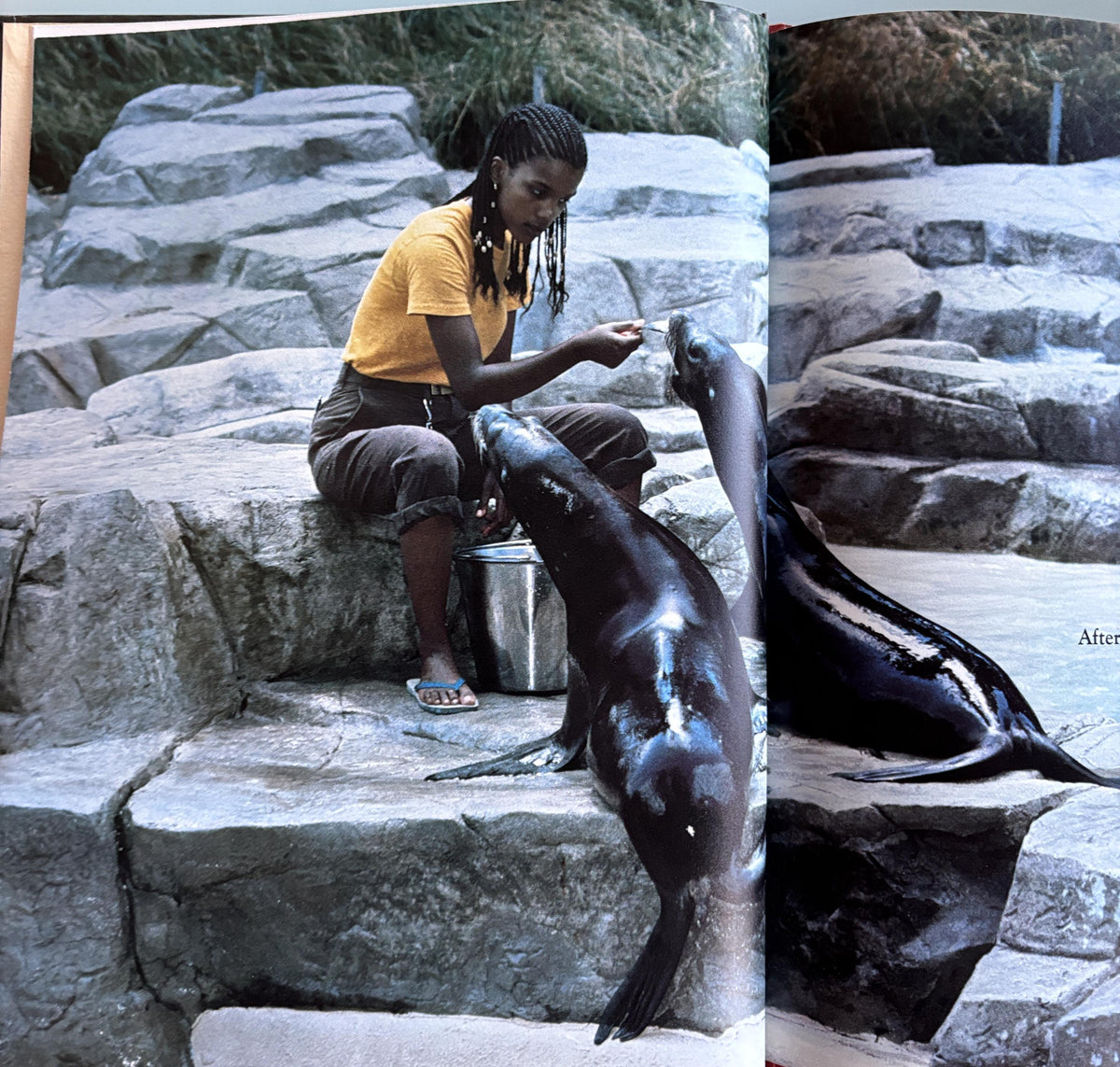 What Happens at the Zoo