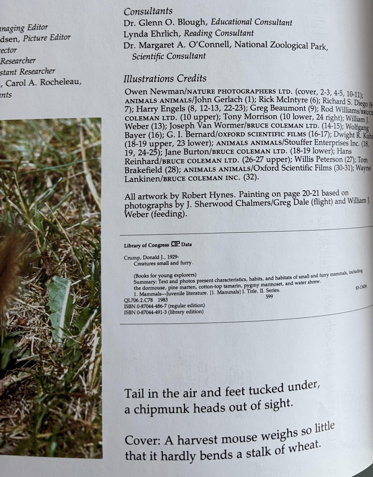 Creatures Small and Furry - National Geographics Society Books for Young Explorers  1984