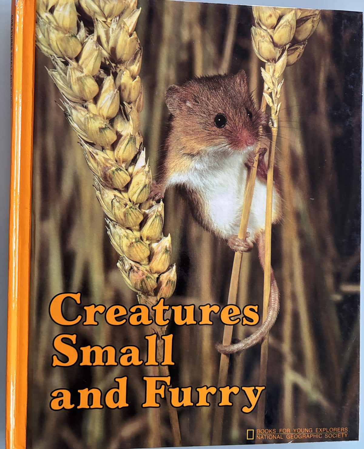 Creatures Small and Furry - National Geographics Society Books for Young Explorers  1984