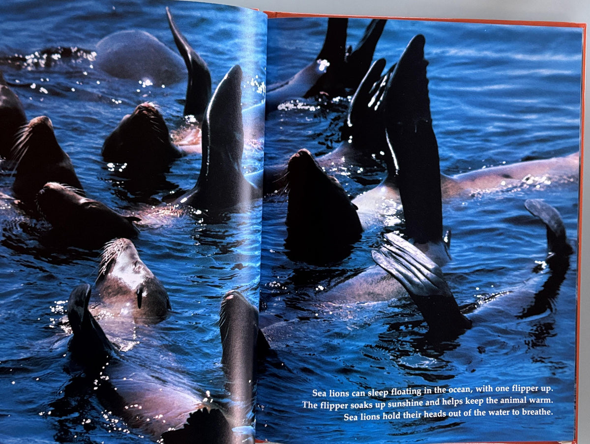 Ways Animals Sleep - National Geographic Society Books for Young Explorers Hand picked