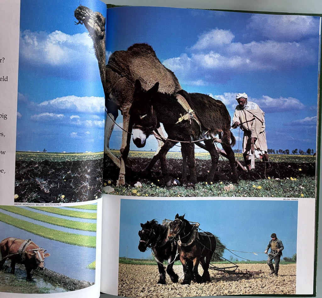 Animals Helping People - National Geographic Society Books for Young Exploers  1984