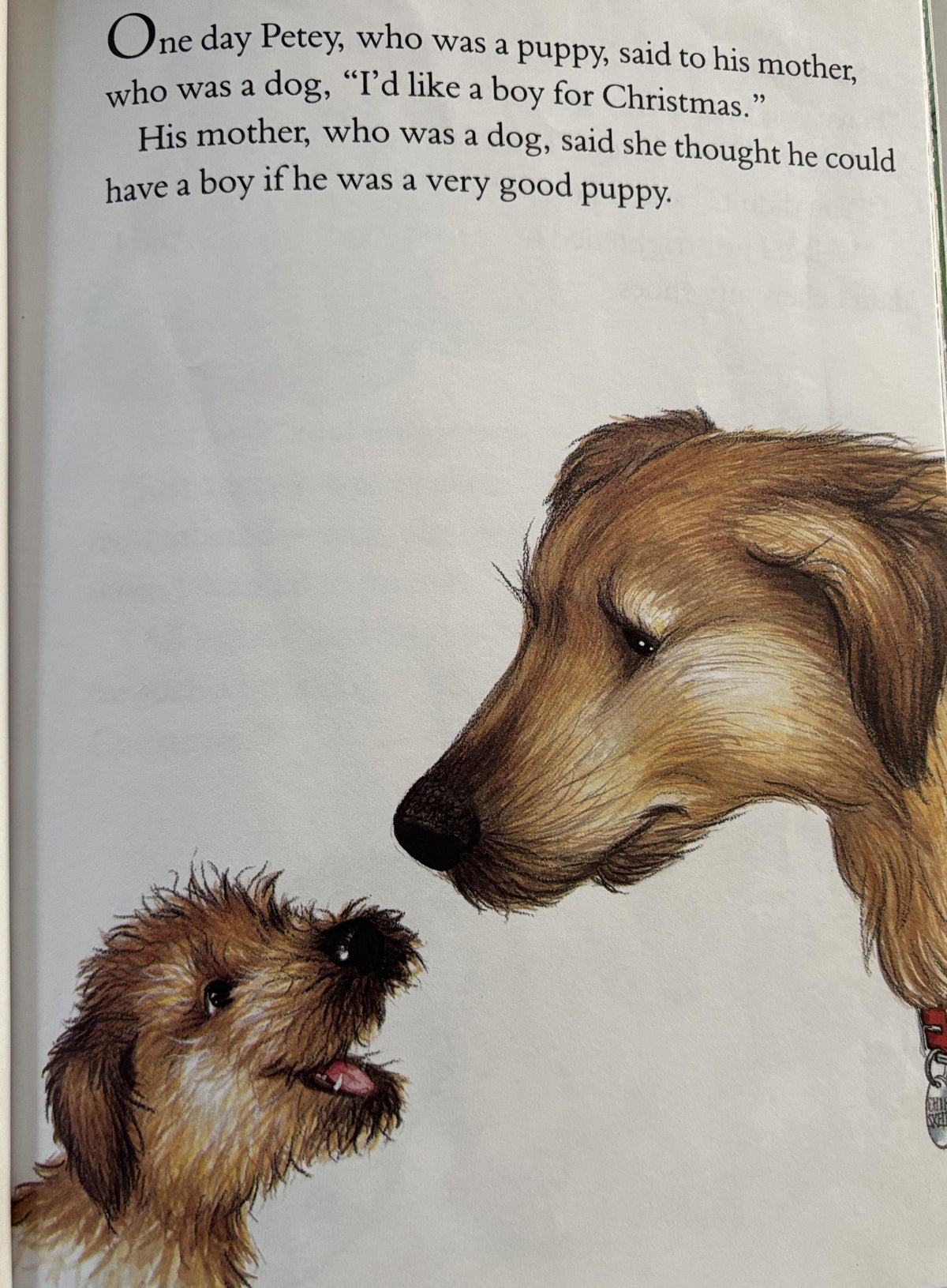 The Puppy Who Wanted a Boy  by Jane Thayer