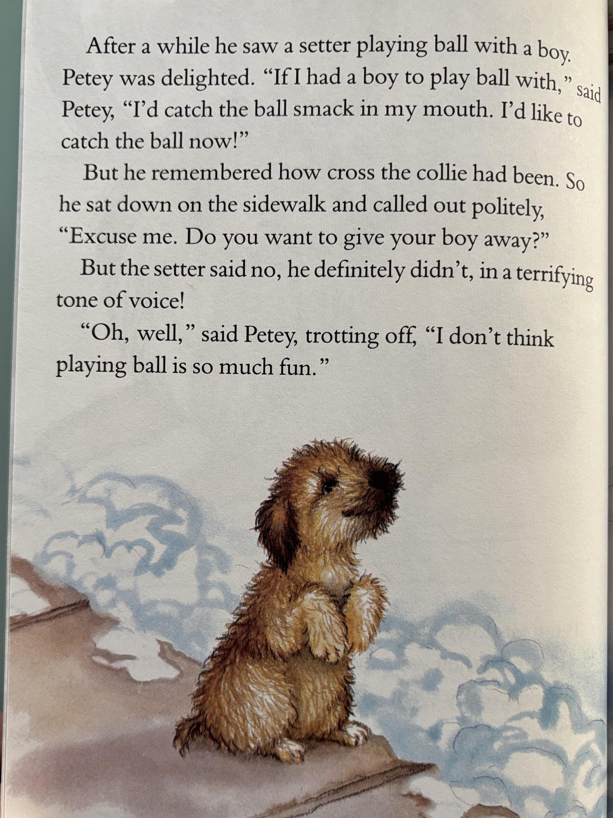 The Puppy Who Wanted a Boy  by Jane Thayer