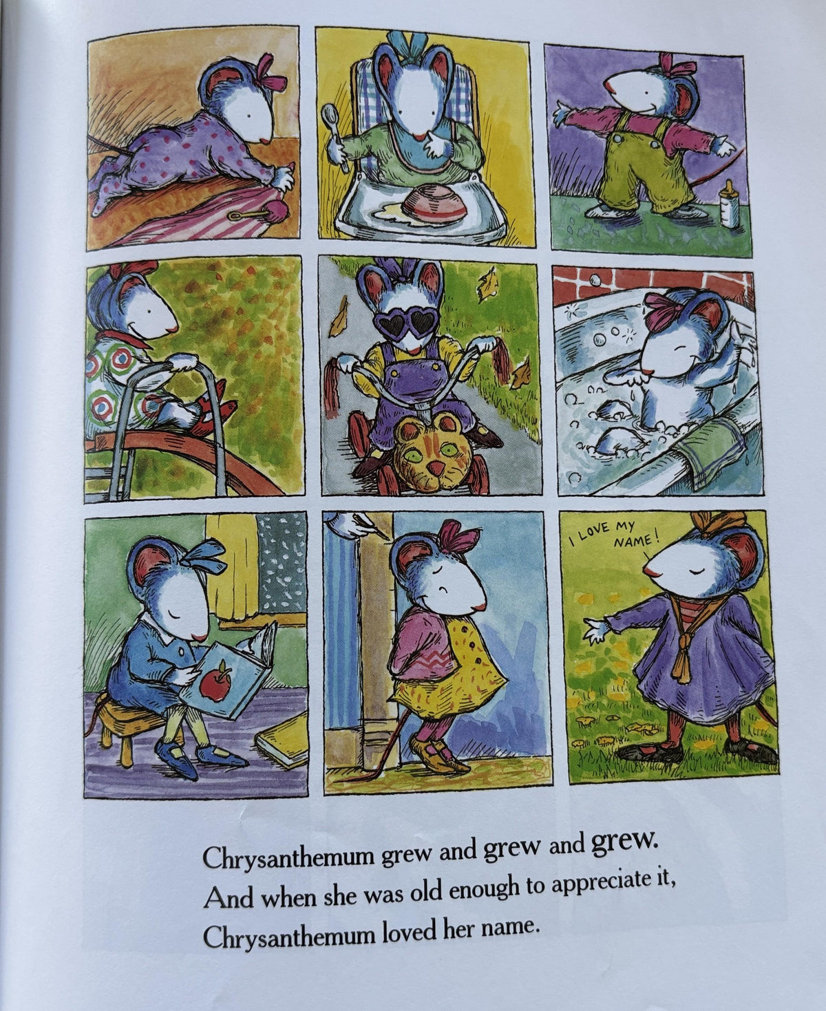 Chrysanthemum: A First Day of School Book for Kids  **  First Edition  **