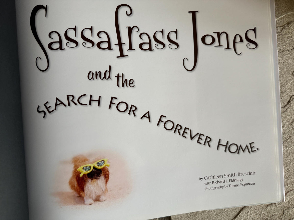 SASSAFRASS JONES and the search for a Forever Home