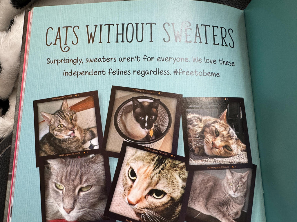 Cats in Sweaters : Flaunting Their Tiny Sweaters and Trademark Attitude by JonahStern(2016, Hardcover)