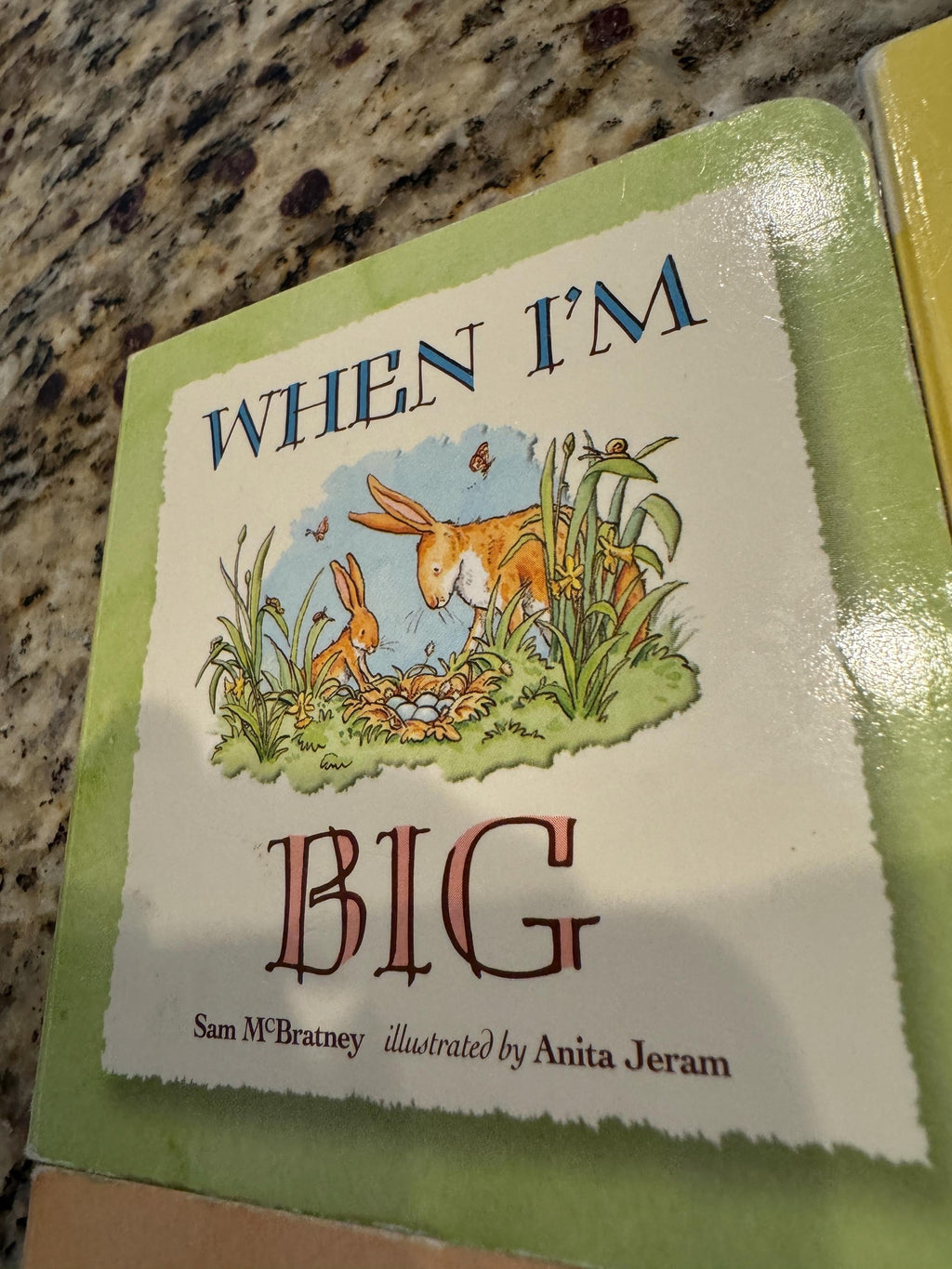 Sam McBratney Miniature Board Books Set, Anita Jeram Illustrations, 2011