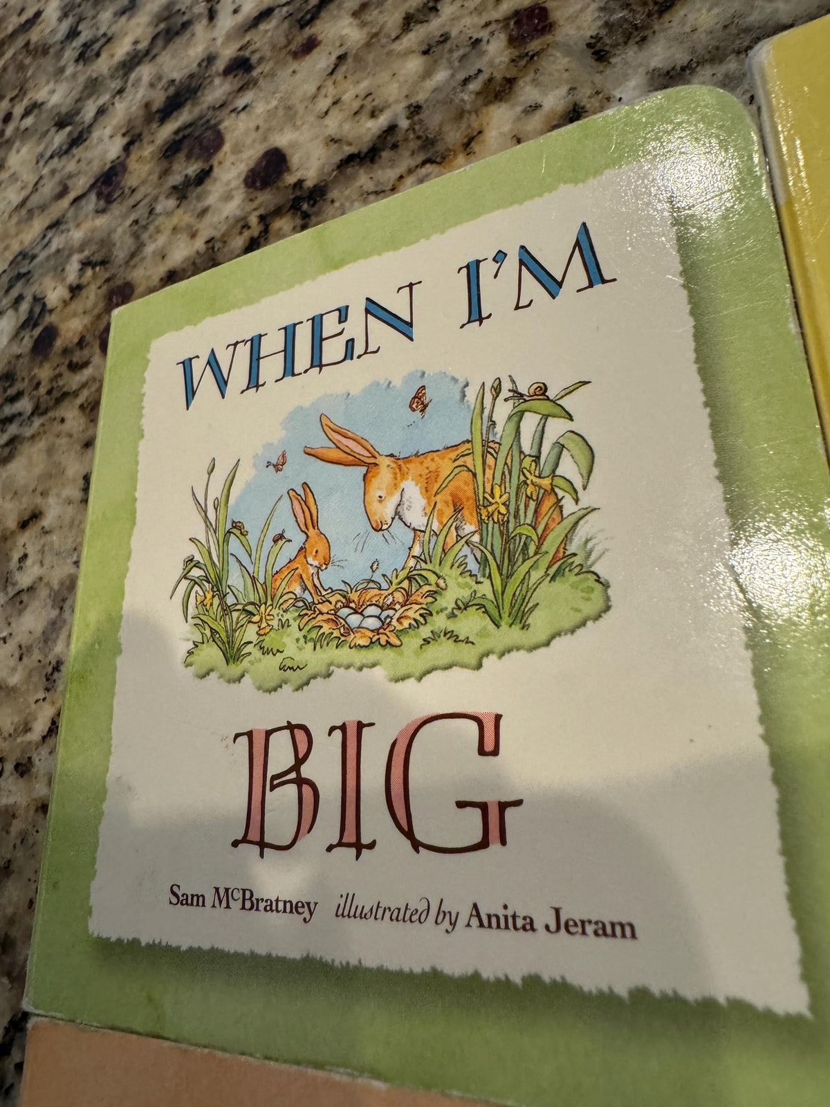 Sam McBratney Miniature Board Books Set, Anita Jeram Illustrations, 2011