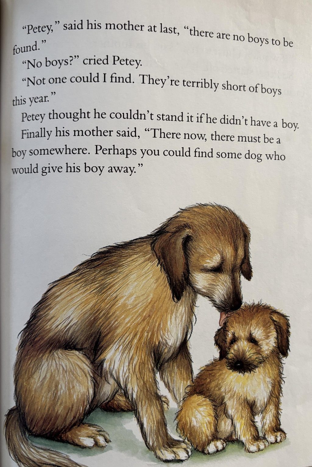 The Puppy Who Wanted a Boy  by Jane Thayer