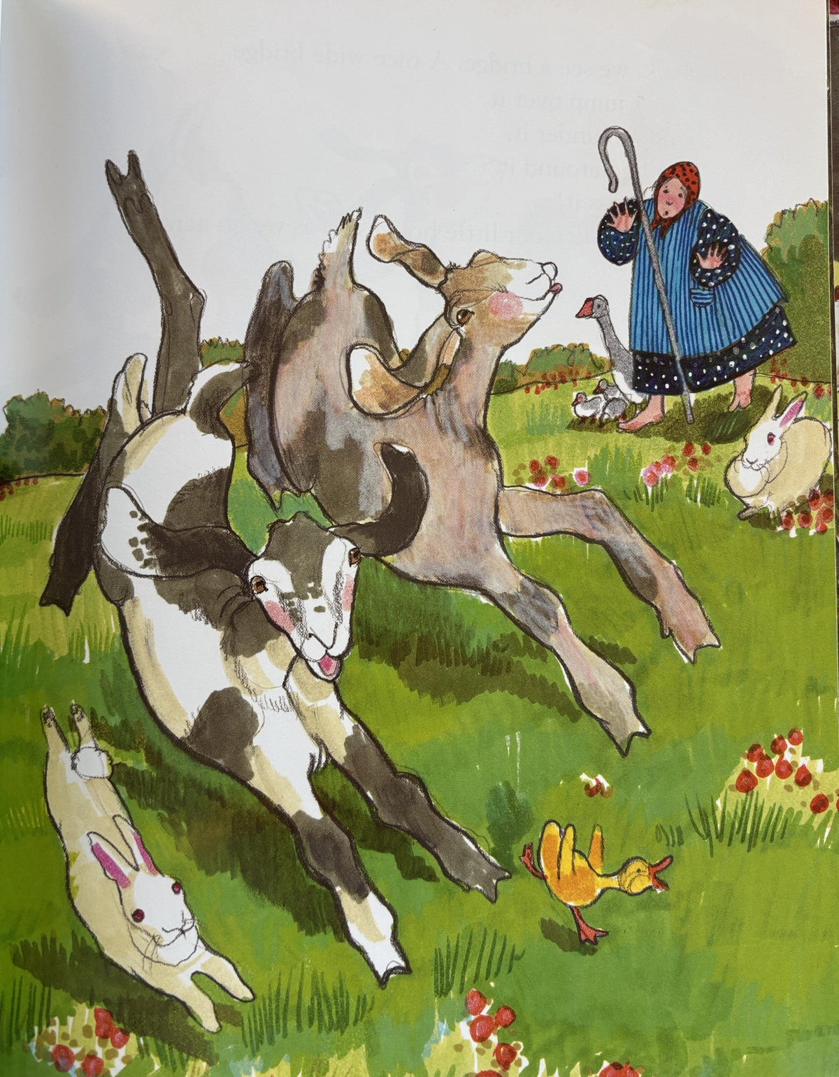 Oh, Look!  by Patricia Polacco  **  First Impression  **