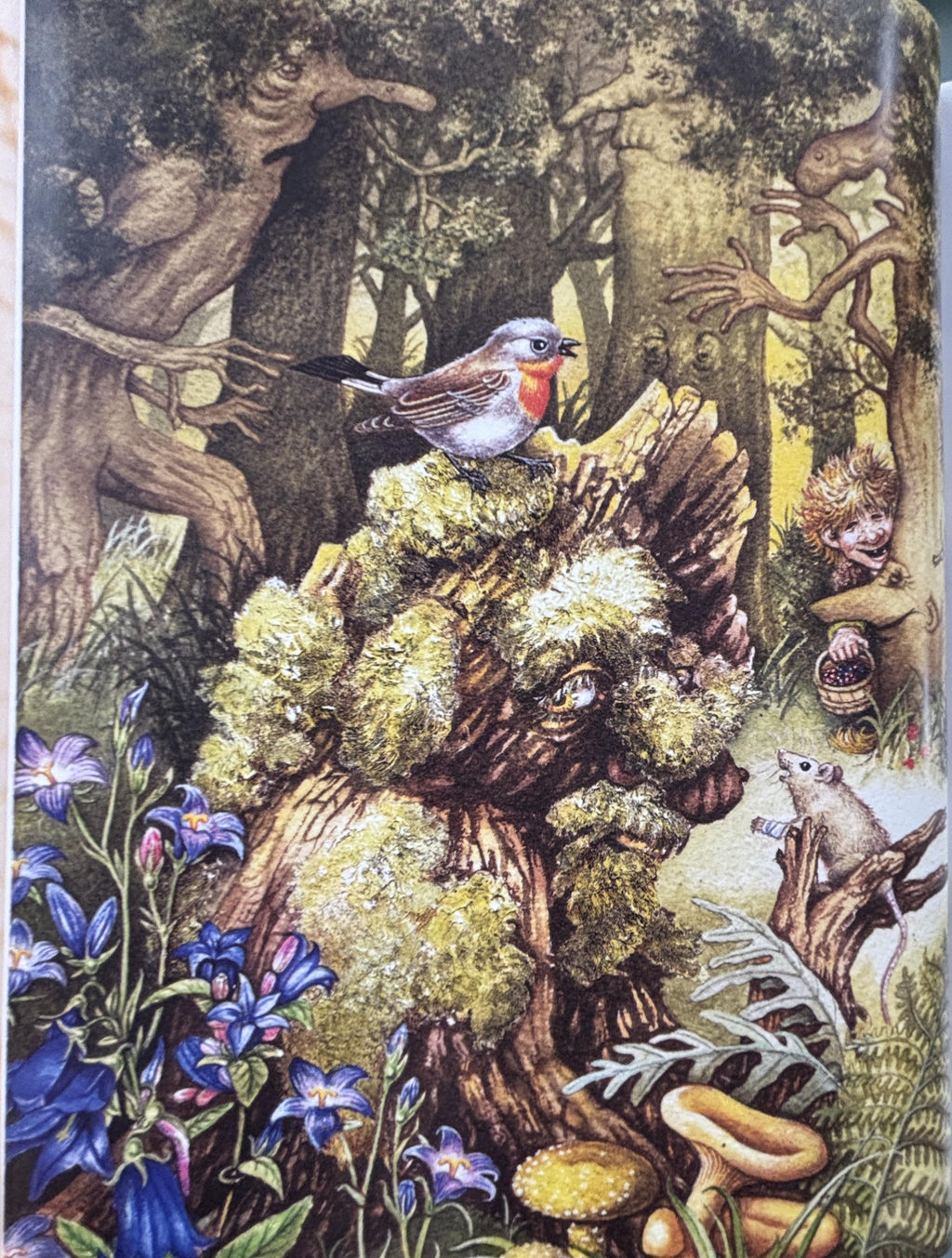 The Little Troll Hardcover Book, 2003 Illustrated Edition